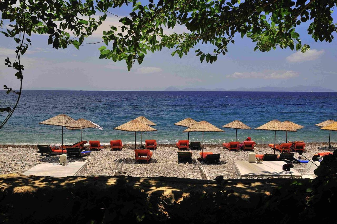 Melinda Pension & Restaurant Mesudiye  外观 照片