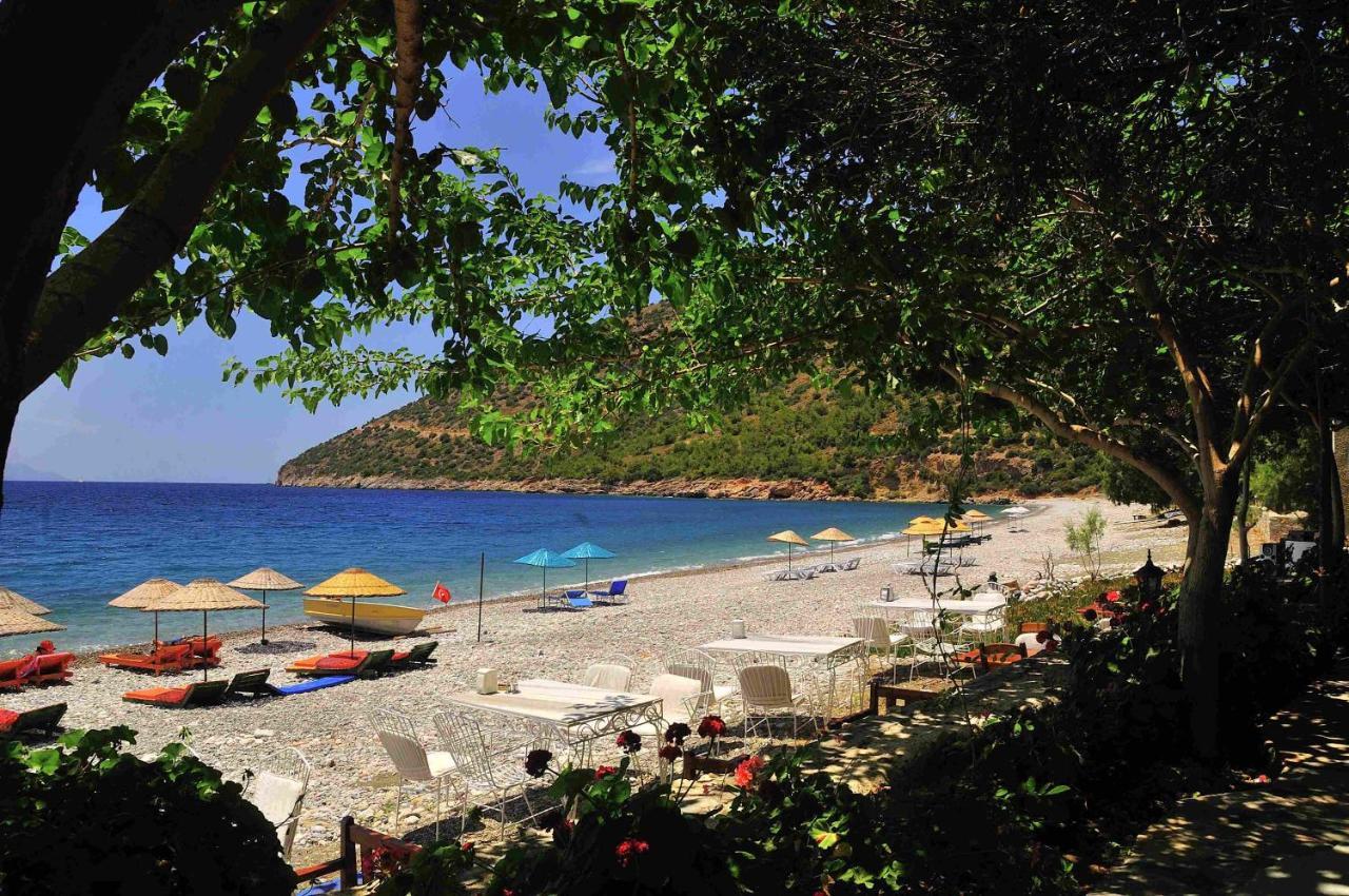 Melinda Pension & Restaurant Mesudiye  外观 照片