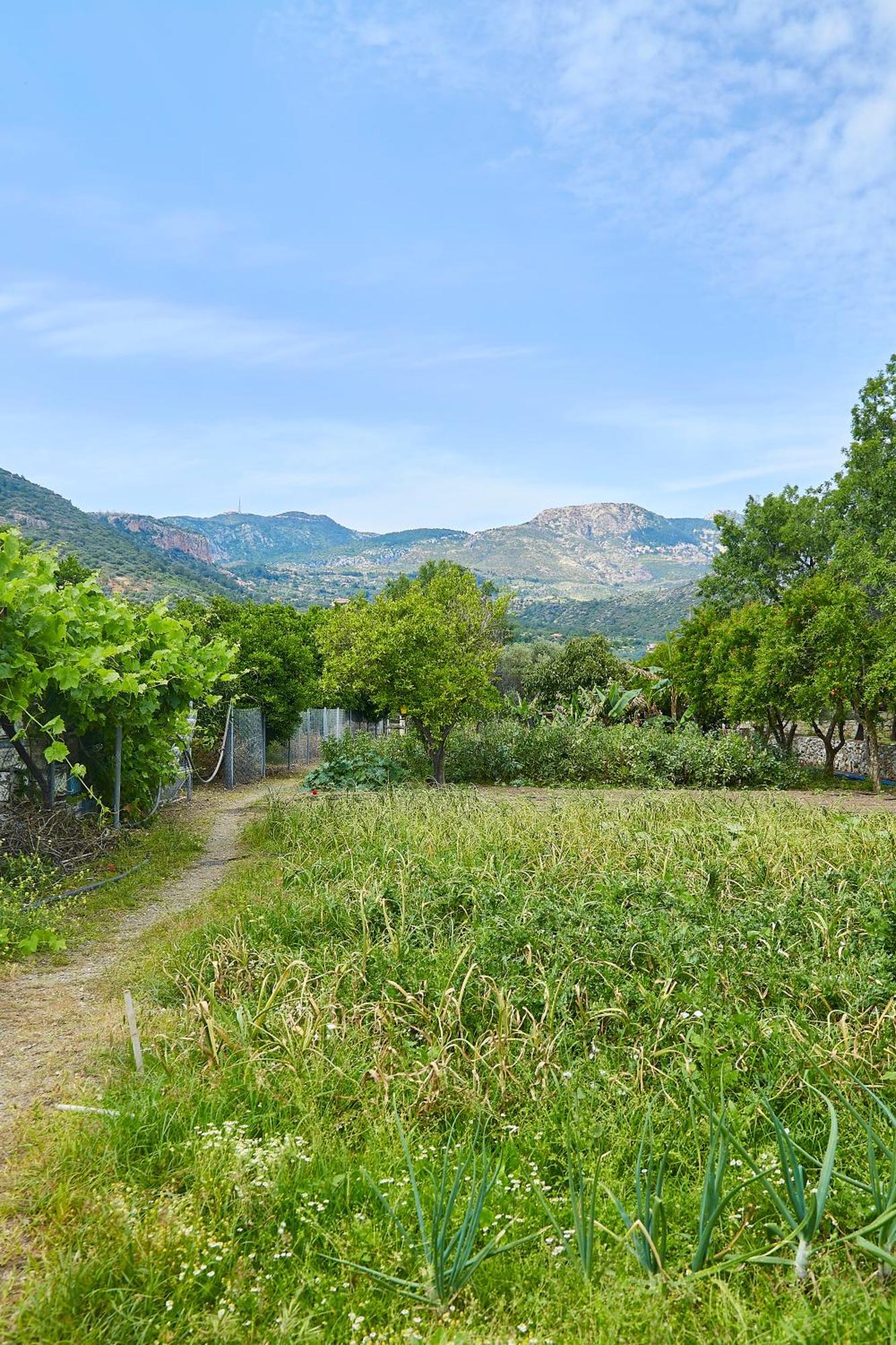 Melinda Pension & Restaurant Mesudiye  外观 照片